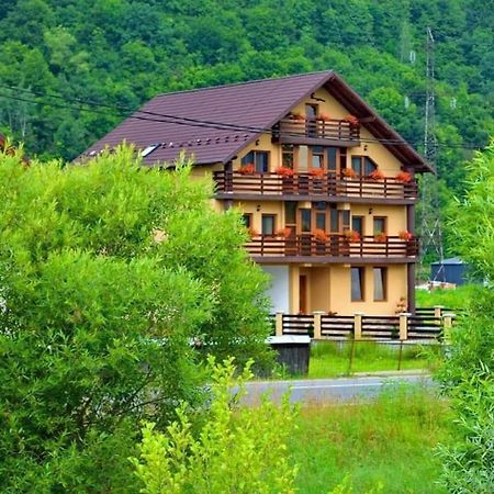 Casa Vadeanu Hotel Sighetu Marmaţiei Exterior foto