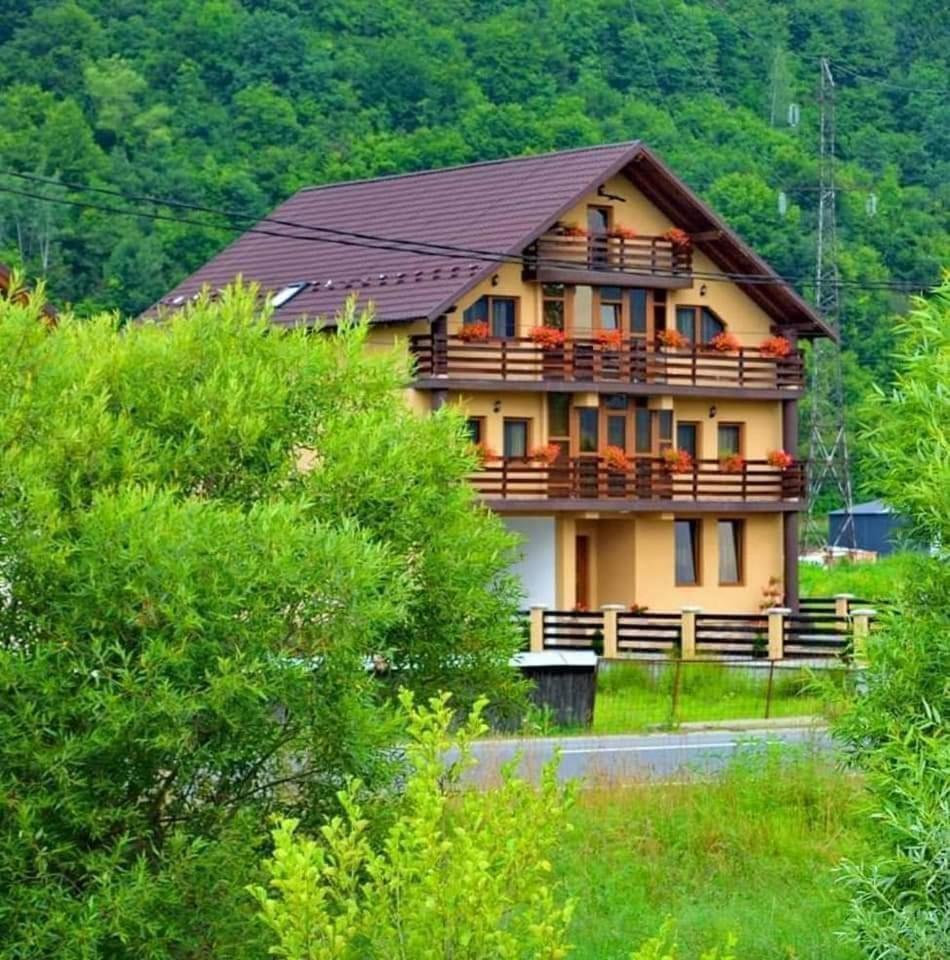 Casa Vadeanu Hotel Sighetu Marmaţiei Exterior foto