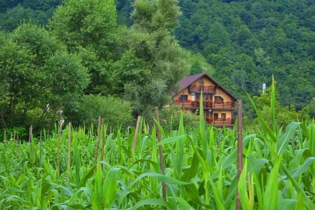 Casa Vadeanu Hotel Sighetu Marmaţiei Exterior foto