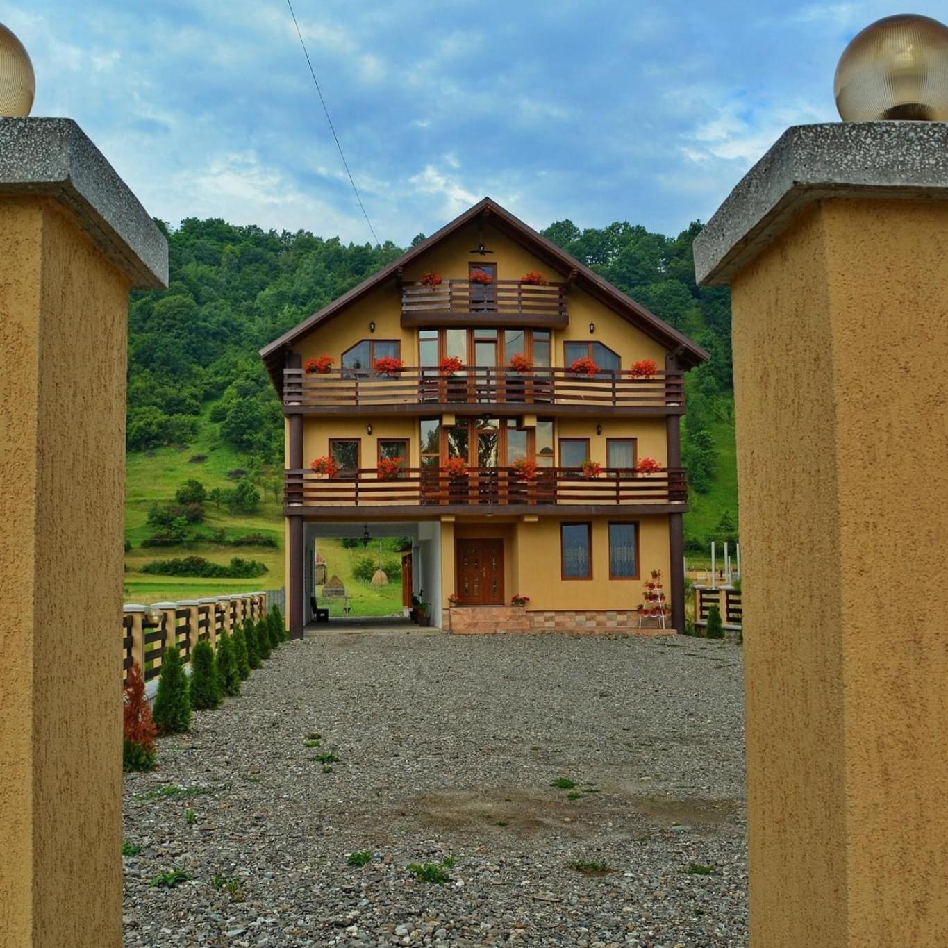 Casa Vadeanu Hotel Sighetu Marmaţiei Exterior foto